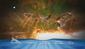 Летите домой [Blu-ray] / Fly Away Home