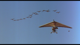 Летите домой [Blu-ray] / Fly Away Home