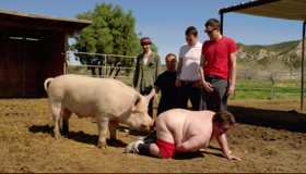 Чудаки 3D [Blu-ray] / Jackass 3