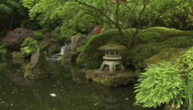Живые пейзажи: Сад камней [Blu-ray] / Living Landscapes - Earthscapes: Zen Garden