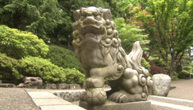 Живые пейзажи: Сад камней [Blu-ray] / Living Landscapes - Earthscapes: Zen Garden