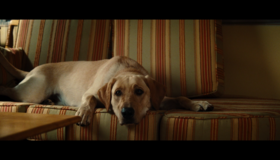 Марли и я [Blu-ray] / Marley & Me