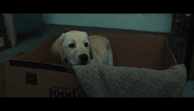 Марли и я [Blu-ray] / Marley & Me