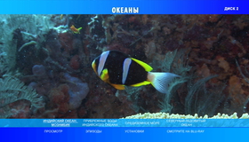 Океаны (2-х дисковое издание) [Blu-ray] / BBC: Oceans (2-Disc Edition)