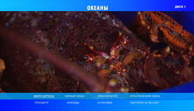 Океаны (2-х дисковое издание) [Blu-ray] / BBC: Oceans (2-Disc Edition)