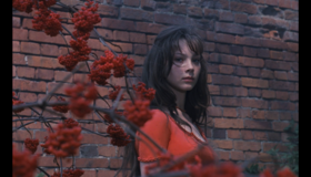 Мой ласковый и нежный зверь [Blu-ray] / A Hunting Accident (Moy laskovyy i nezhnyy zver)