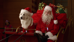 В поисках Санта Лапуса [Blu-ray] / The Search for Santa Paws