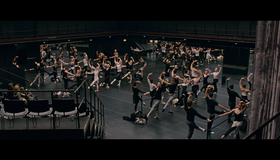 Чёрный лебедь [Blu-ray] / Black Swan