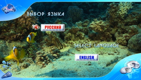 Красное море: Релакс видео (Часть 3) [Blu-ray] / Deep Sea: Relax (Part 3)
