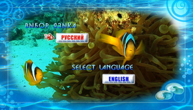 Красное море: Релакс видео (Часть 2) [Blu-ray] / Deep Sea: Relax (Part 2)