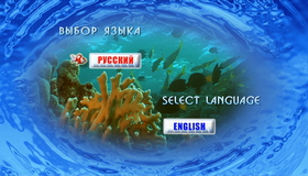 Красное море: Релакс видео (Часть 1) [Blu-ray] / Deep Sea: Relax (Part 1)
