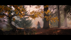 Красная шапочка [Blu-ray] / Red Riding Hood