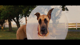 Мармадюк [Blu-ray] / Marmaduke