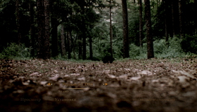 Перекресток Миллера [Blu-ray] / Miller's Crossing