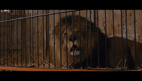 Воды слонам! [Blu-ray] / Water for Elephants