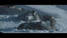 Белый плен [Blu-ray] / Eight Below