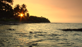 Живые пейзажи: Гавайский подводный рай [Blu-ray] / Living Landscapes - Earthscapes: Underwater Paradise Hawaii