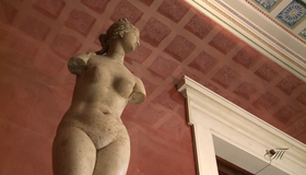Эрмитаж: Экскурсия по музею [Blu-ray] / The Hermitage: Tour of Museum