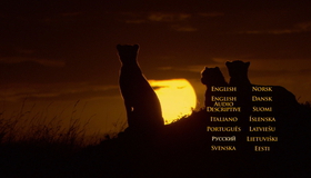 Африканские кошки: Королевство смелости [Blu-ray] / African Cats