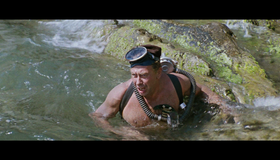 Бриллиантовая рука [Blu-ray] / The Diamond Arm (Brilliantovaya ruka)