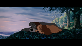 Леди и бродяга (Платиновое издание) [Blu-ray] / Lady and the Tramp (Diamond Edition)