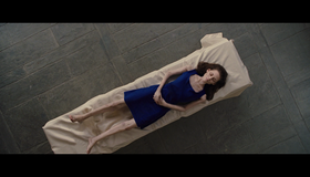Сумерки. Сага. Рассвет: Часть 1 [Blu-ray] / The Twilight Saga: Breaking Dawn - Part 1