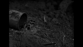 На западном фронте без перемен (Юбилейное издание) [Blu-ray] / All Quiet on the Western Front (Universal 100th Anniversary)
