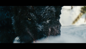 Схватка [Blu-ray] / The Grey