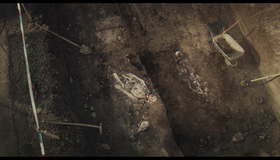 Зона мертвых [Blu-ray] / Zone of the Dead