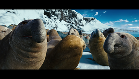 Делай ноги 2 [Blu-ray] / Happy Feet Two
