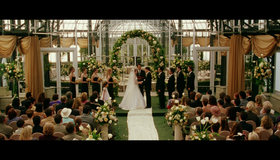 Американский пирог 3: Свадьба (Юбилейное издание) [Blu-ray] / American Wedding (Universal 100th Anniversary)