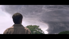 Укрытие [Blu-ray] / Take Shelter