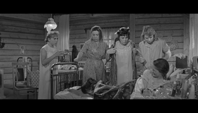 Девчата [Blu-ray] / The Girls (Devchata)