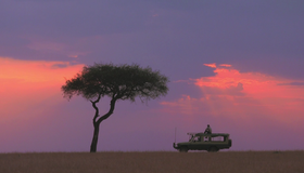 Сафари [Blu-ray 3D] / 3D Safari: Africa