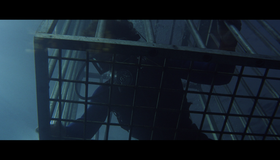Челюсти [Blu-ray] / Jaws