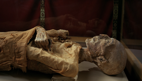 Мумии: Секреты фараонов (3D) [Blu-ray 3D] / IMAX: Mummies: Secrets of the Pharaohs (3D)