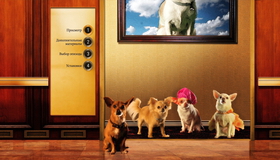 Крошка из Беверли-Хиллз 3 [Blu-ray] / Beverly Hills Chihuahua 3: Viva La Fiesta!