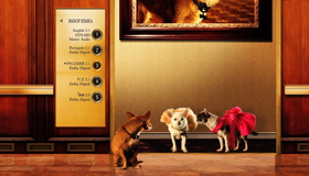 Крошка из Беверли-Хиллз 3 [Blu-ray] / Beverly Hills Chihuahua 3: Viva La Fiesta!