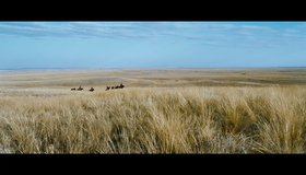 Орда [Blu-ray] / Orda