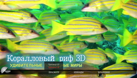 Коралловый риф. Удивительные подводные миры (3D) [Blu-ray 3D] / Fascination Coral Reef: Mysterious Worlds Underwater (3D)