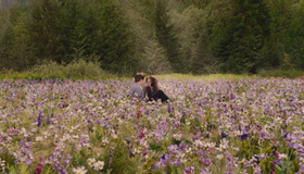 Сумерки. Сага. Рассвет: Часть 2 (Подарочное издание) [Blu-ray] / The Twilight Saga: Breaking Dawn - Part 2 (2-Disc Edition)