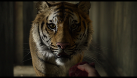Жизнь Пи [Blu-ray] / Life of Pi