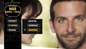 Мой парень – псих [Blu-ray] / Silver Linings Playbook