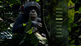 Шимпанзе [Blu-ray] / Chimpanzee