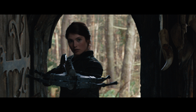Охотники на ведьм [Blu-ray] / Hansel & Gretel: Witch Hunters
