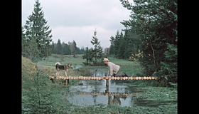 Пес Барбос и необычный кросс [Blu-ray] / Pyos Barbos i neobychnyj kross