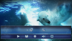Белый медведь: Медведи на льду (3D) [Blu-ray 3D] / Polar Bears: Ice Bear (3D)
