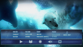 Белый медведь: Медведи на льду (3D) [Blu-ray 3D] / Polar Bears: Ice Bear (3D)