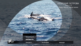 Азорские острова. Часть 3: Люди, фауна, образ жизни (3D) [Blu-ray 3D] / Azores 3D: Explorers, Whales & Vulcanos (3D)