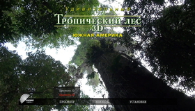 Тропический лес (3D) [Blu-ray 3D] / Rainforest (3D)